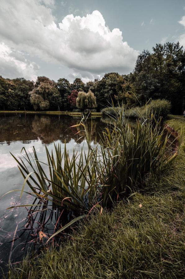 Apartament Deluxe Arcon Siemianowice Śląskie Exteriör bild